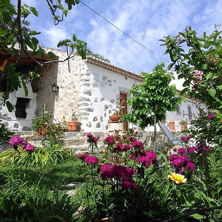 Quinta Do Tempo Turismo Rural Monchique Exterior foto
