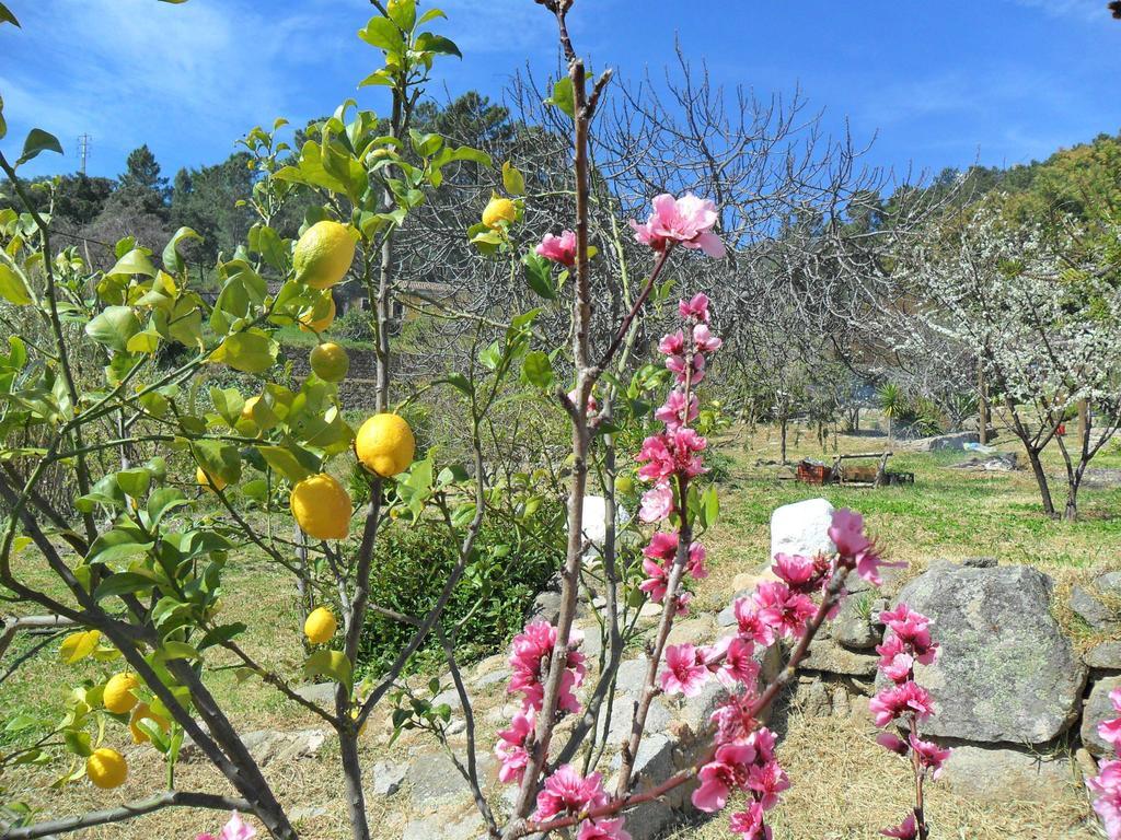 Quinta Do Tempo Turismo Rural Monchique Cameră foto
