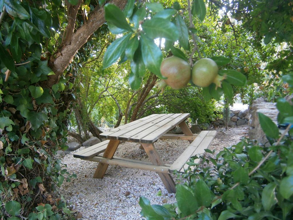 Quinta Do Tempo Turismo Rural Monchique Exterior foto